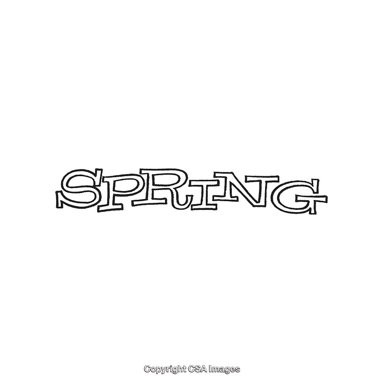 Stylized Word Art Displaying the Text "Spring" in Creative Typography