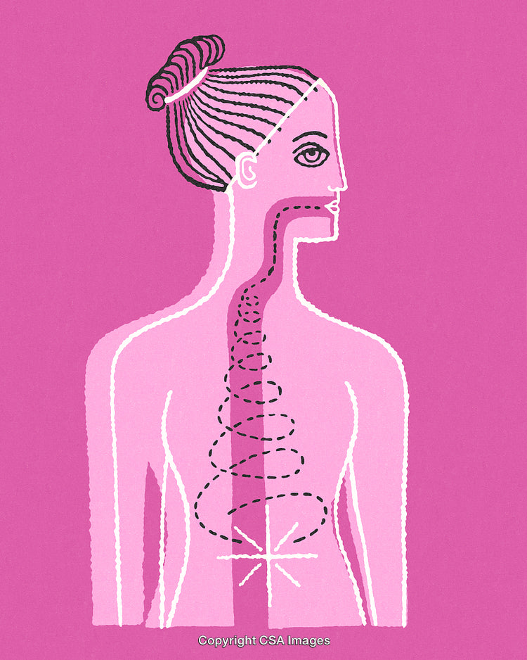 Artistic Illustration of a Woman's Anatomy with Emphasis on Throat and Chest