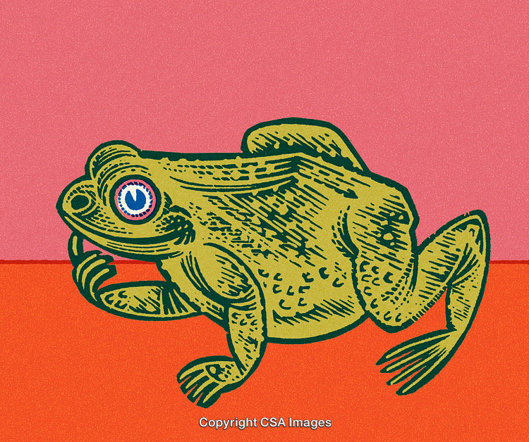 Illustrated Green Frog with Vibrant Colors and Whimsical Artistic Style