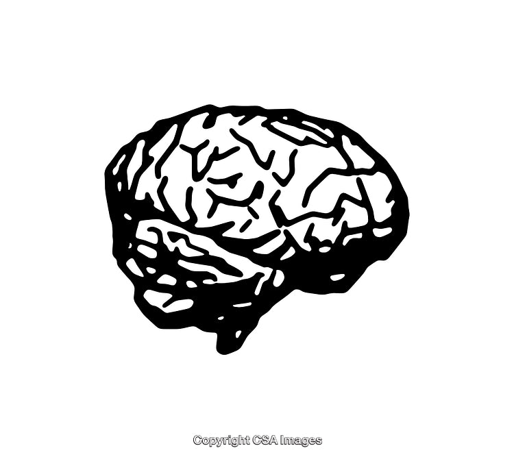 Monochrome Line Art Illustration of a Human Brain Concept