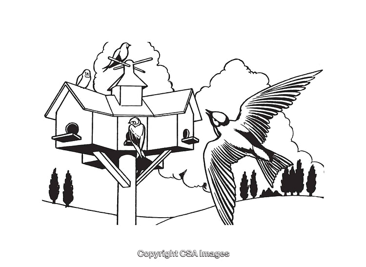 Black and White Drawing of Birds at a Decorative Birdhouse