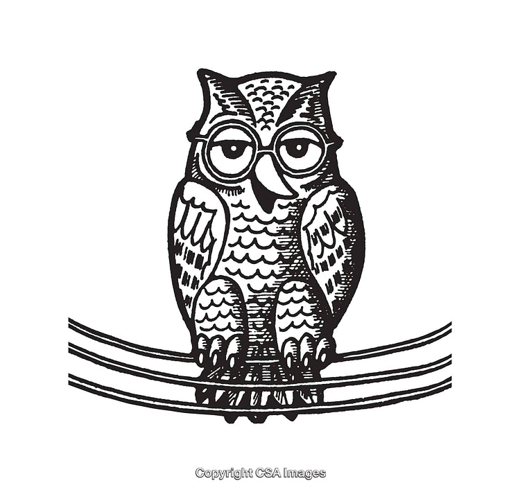Intricate Black and White Line Art Illustration of a Wise Owl