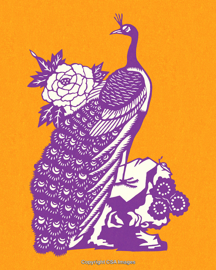 Purple Peacock Illustration With Floral Details on Bright Orange Background