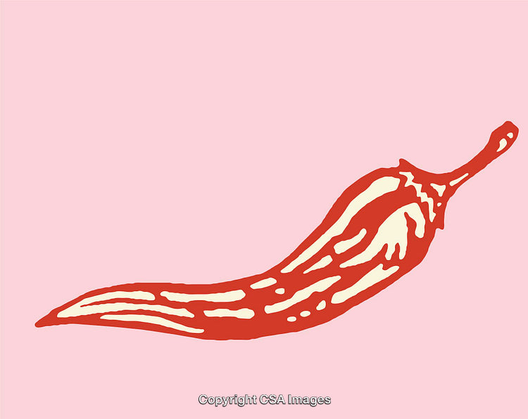 Red Chili Pepper Illustration on Soft Pastel Pink Background