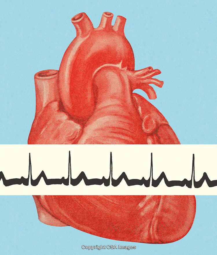 Illustration of a Human Heart with Electrocardiogram Signal on Blue Background