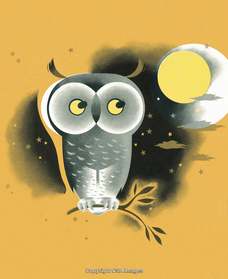 Illustration of a Cartoon Owl Under the Bright Full Moon at Night