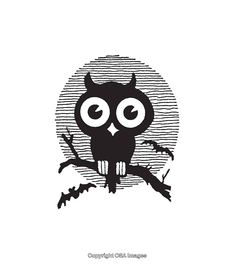 Black and White Line Art Illustration of an Owl in Front of a Moon