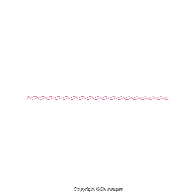 Pink Wavy Line Element on White Background for Decorative Designs