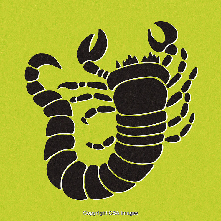 Stylized Black Scorpion Illustration on Vibrant Green Background