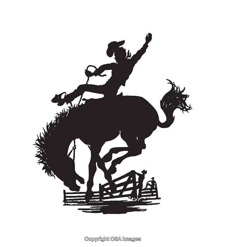 Silhouette of a Cowboy Riding a Bucking Horse During a Rodeo Event