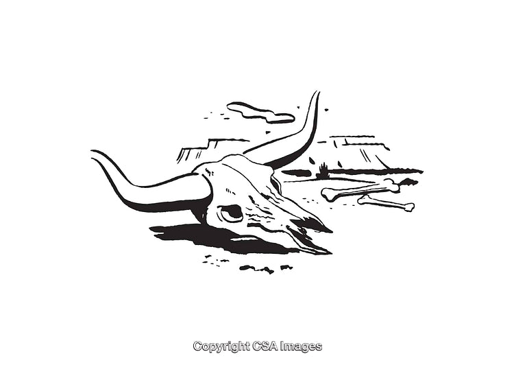 Black and White Line Art of a Bull Skull in Desert Scenery