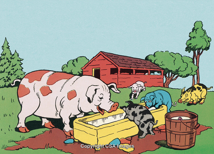 Cartoon Scene of Colorful Pigs Feeding at a Farmyard Trough