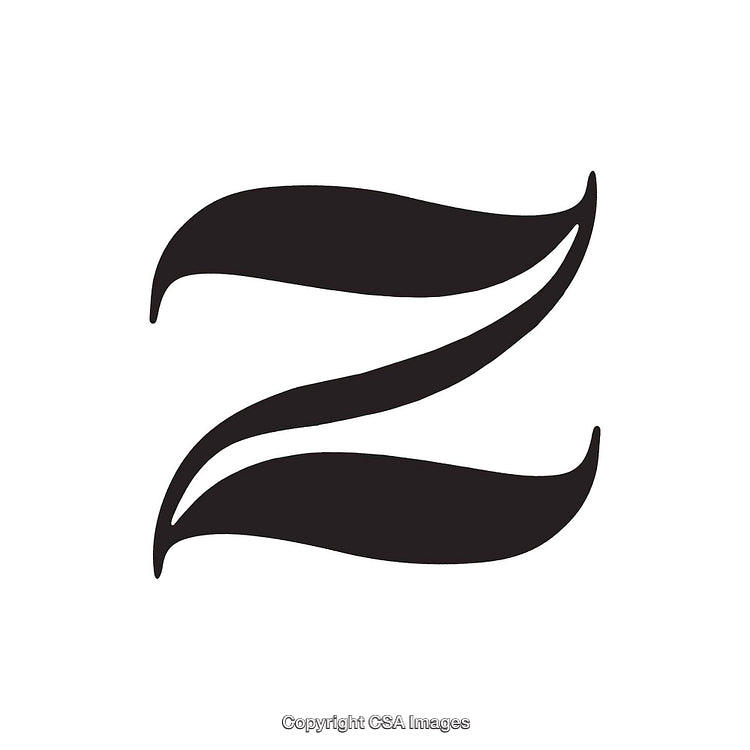 Stylized Black Letter Z With Elegant Curved Design on White Background