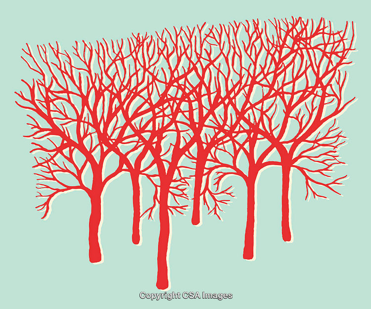 Abstract Red Branching Trees on a Light Blue Background Illustration