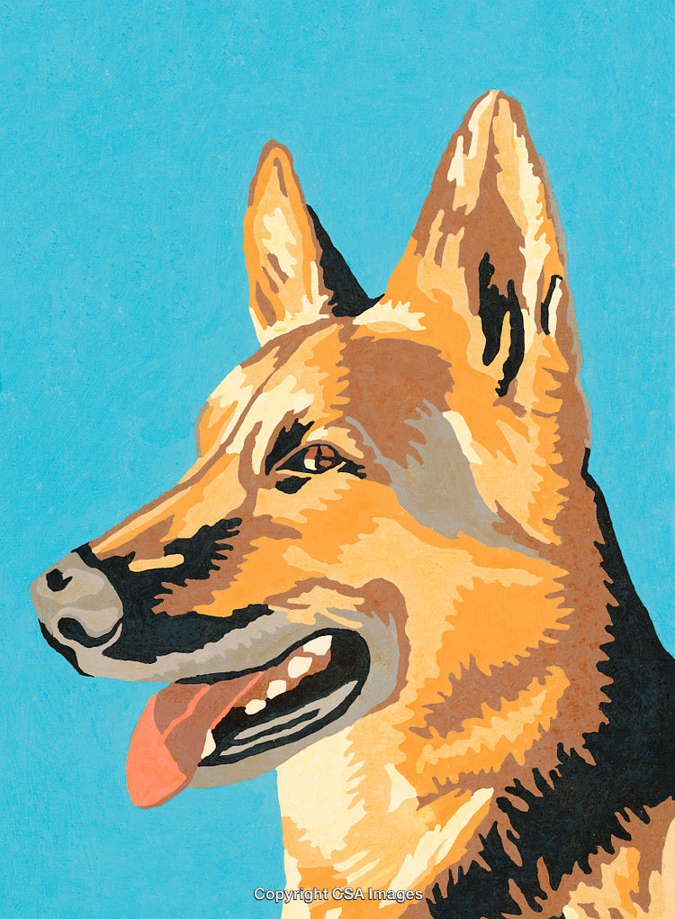 Colorful Paint by Numbers German Shepherd Illustration with Bright Background