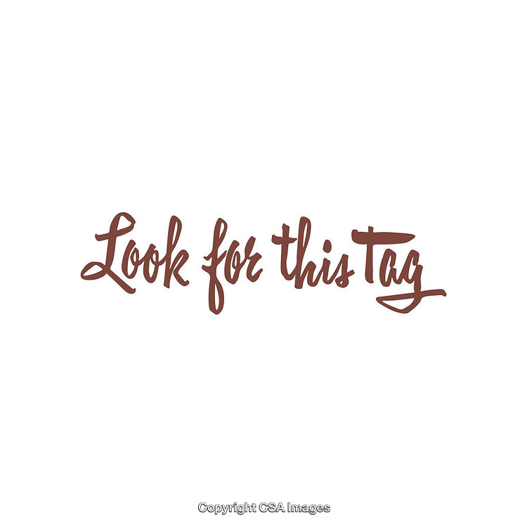 Stylish Handwritten Text Illustration in Artistic Brown Script