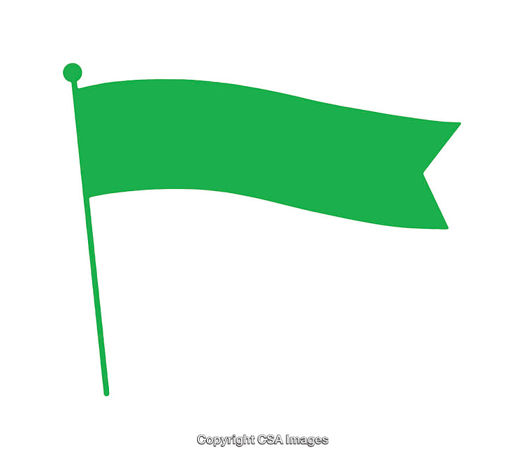 Green Flag Icon Design with a Styled Waving Tail
