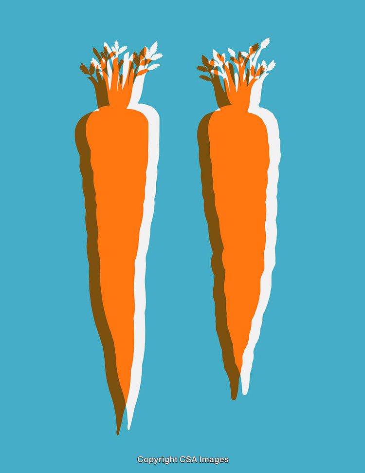 Colorful Carrot Line Art Illustrations on a Blue Background