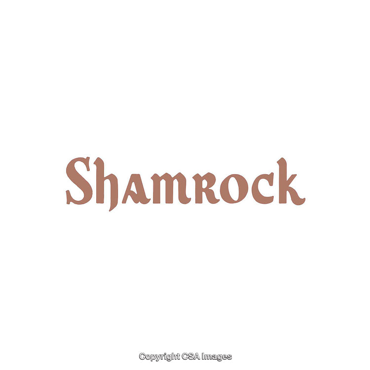Stylized Brown Shamrock Text on a Minimal White Background