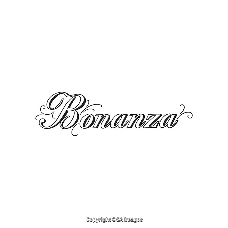 Elegant Bonanza Logo Design with Swirling Decorative Calligraphy in Black
