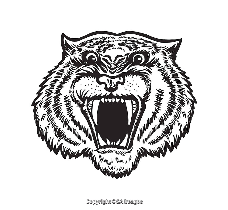 Fierce Black and White Tiger Head Line Art Illustration