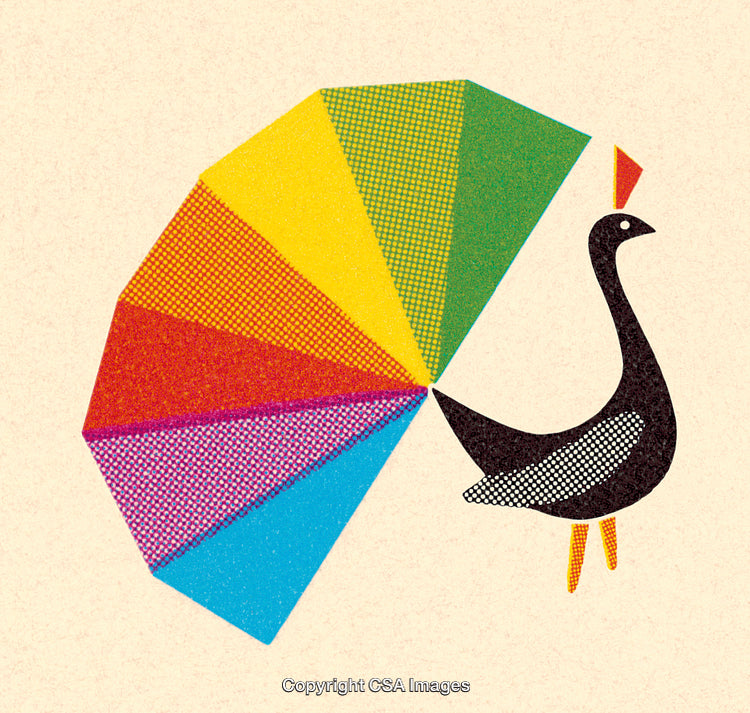 Colorful Peacock Illustration with Artistic and Abstract Style on Neutral Background