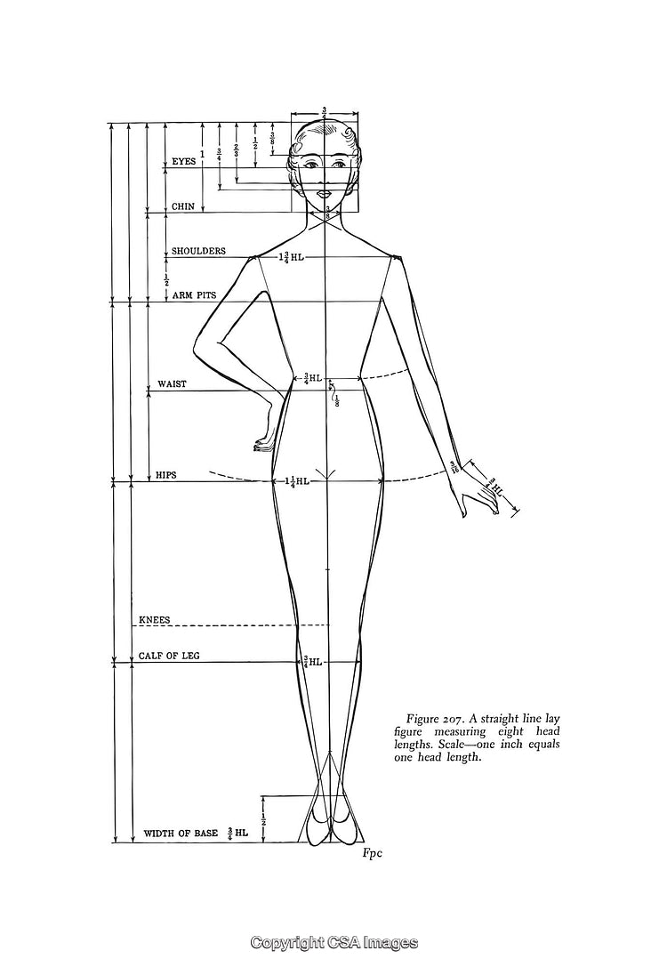 Black and White Proportional Diagram of Human Figure for Design Reference
