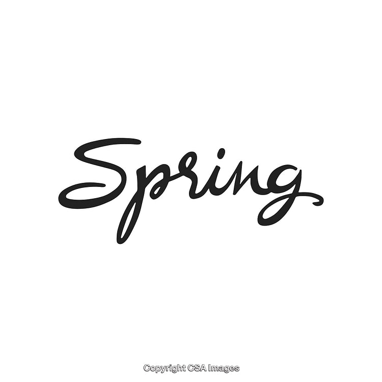 Spring Season Script Typography on White Background for Design Projects