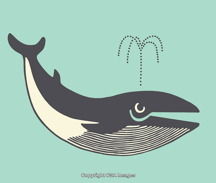 Playful Whale Illustration with Water Spout on Light Background