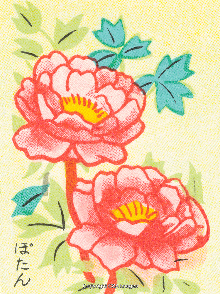 Elegant Vintage Illustration of Vibrant Pink Peonies with Green Leaves