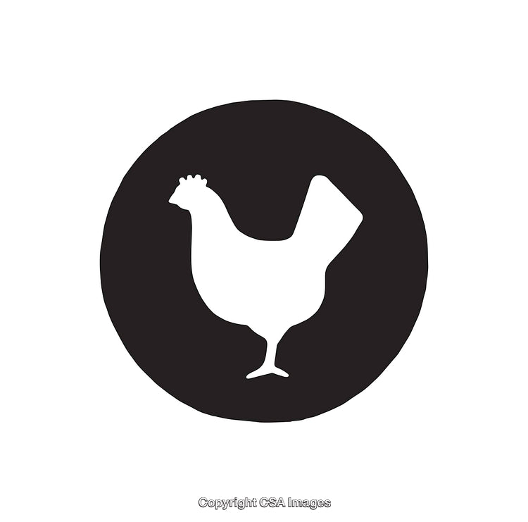 Simple Black and White Chicken Silhouette Icon Design