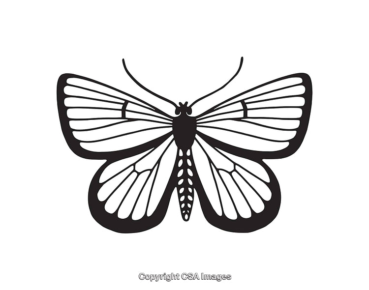 Black and White Line Art Illustration of a Butterfly Design