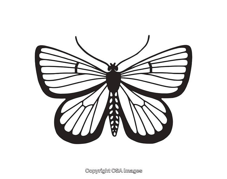 Black and White Line Art Illustration of a Butterfly Design