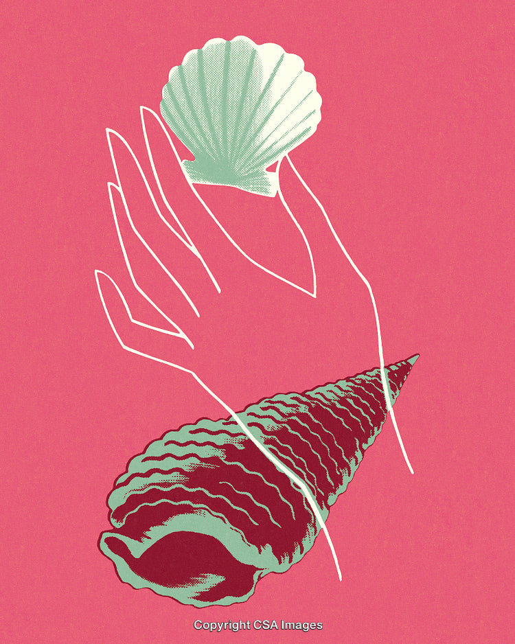 Elegant Minimalist Illustration of Seashell and Abstract Hand on Pink Background