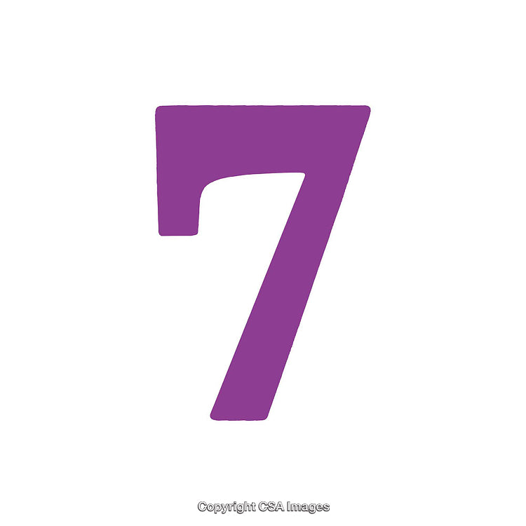 Purple Number Seven on a Plain White Background