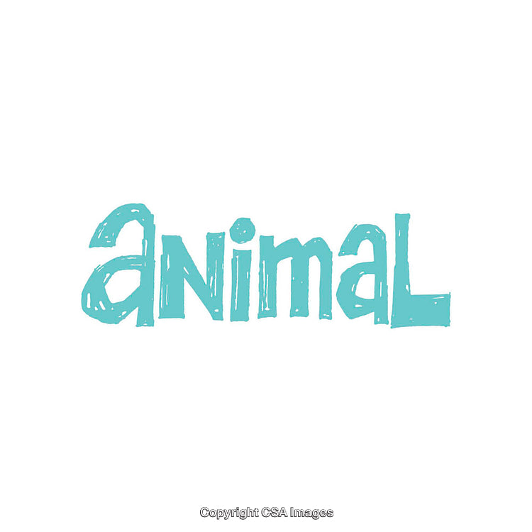 Minimalistic Blue Typography Design Highlighting the Word Animal on White Background