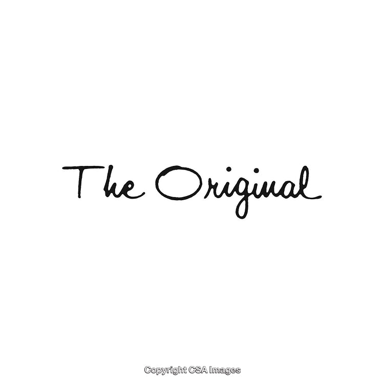 Elegant Handwritten Script Reading 'The Original' on White Background