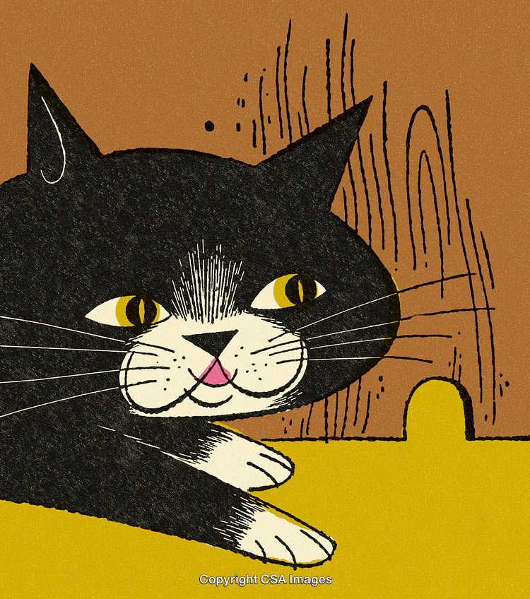 Playful Black Cat Illustration With Whimsical Elements and Vibrant Colors