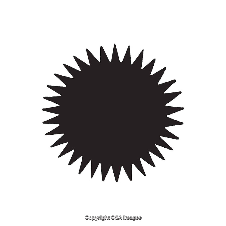 Black Starburst Shape in Simple Monochrome Design on White Background